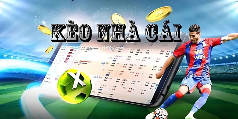 Cách Đọc Biến Động Kèo Nhà Cái Chuẩn Xác Cho Người Mới
