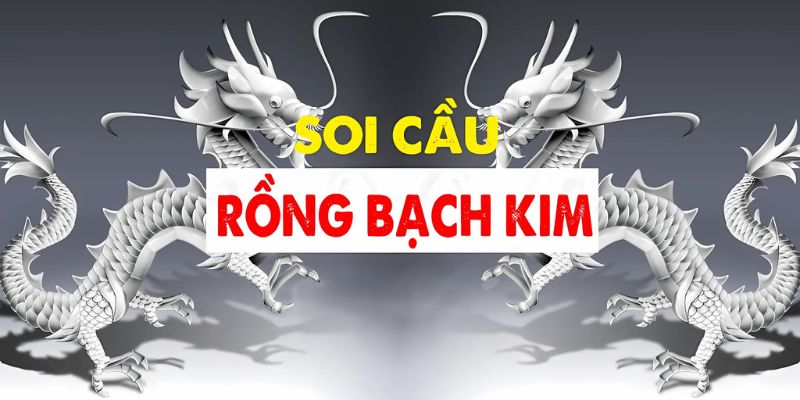 Chiến thuật áp dụng soi cầu rồng bạch kim 666