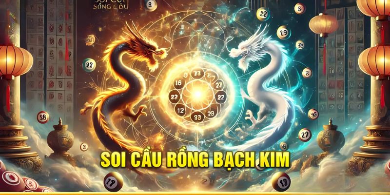 Nguyên tắc khi soi cầu rồng bạch kim 666